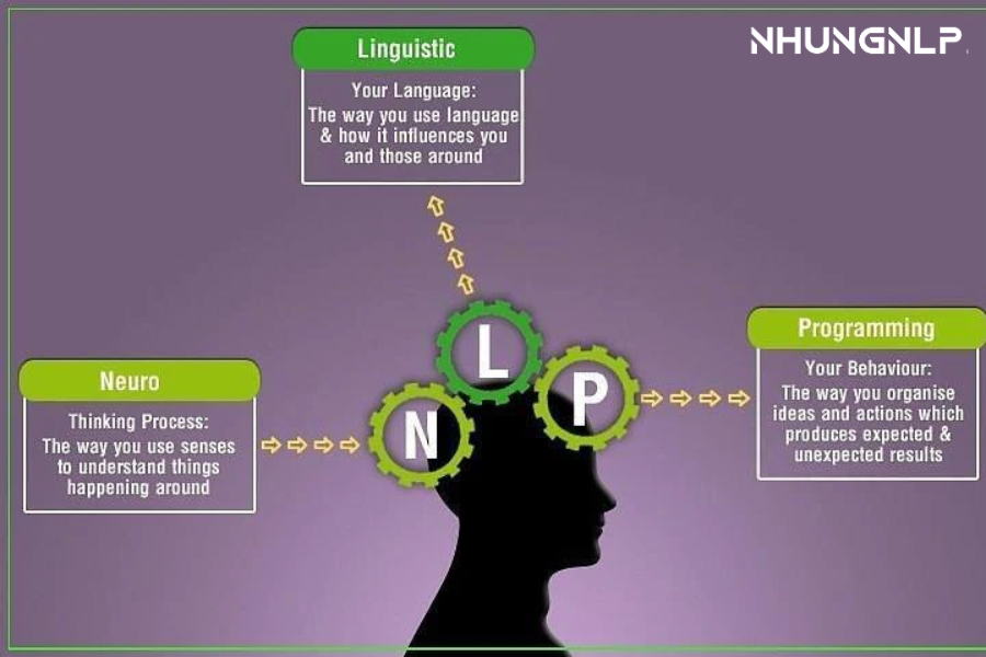 Trend "chữa lành" và phát triển bản thân bằng NLP